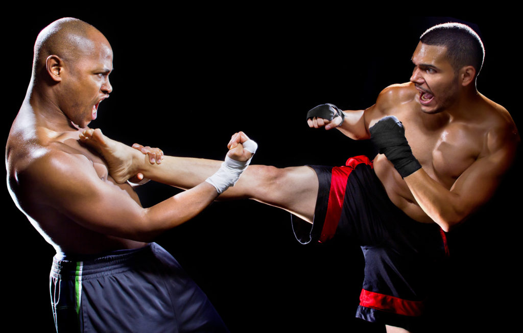 2Fit Tiefschutz/Unterleib-Schutz für MMA Martial Arts Kick-Boxen Boxen Muay Thai 