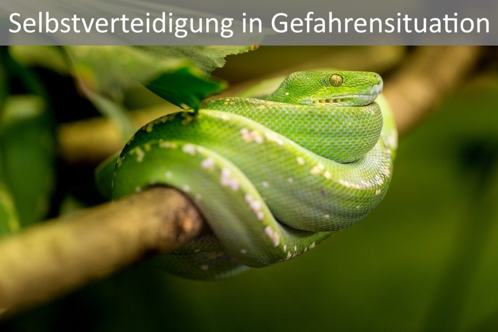 Selbstverteidigung Tipps und Tricks
