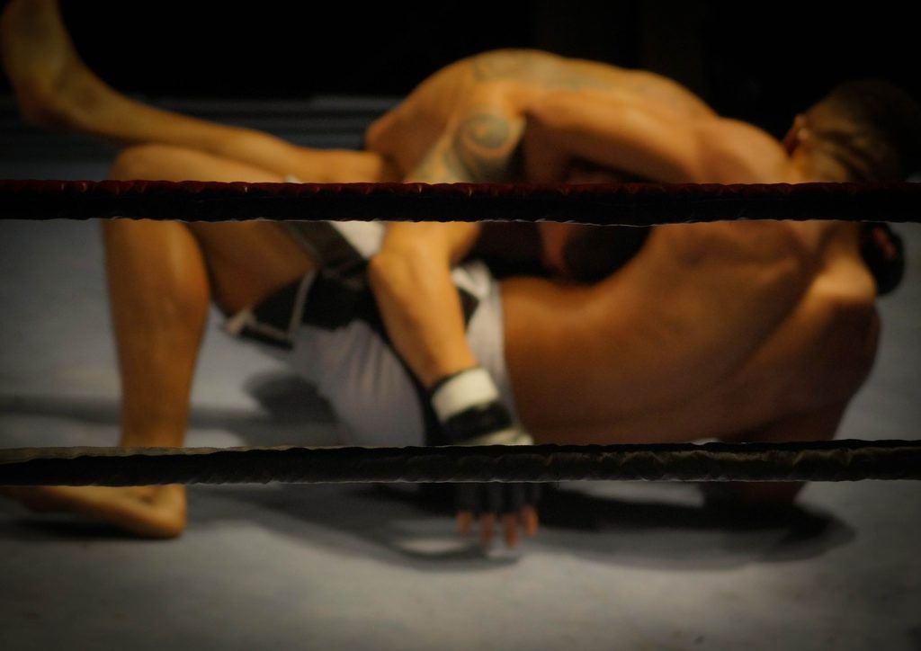 MMA - Mixed Martial Arts