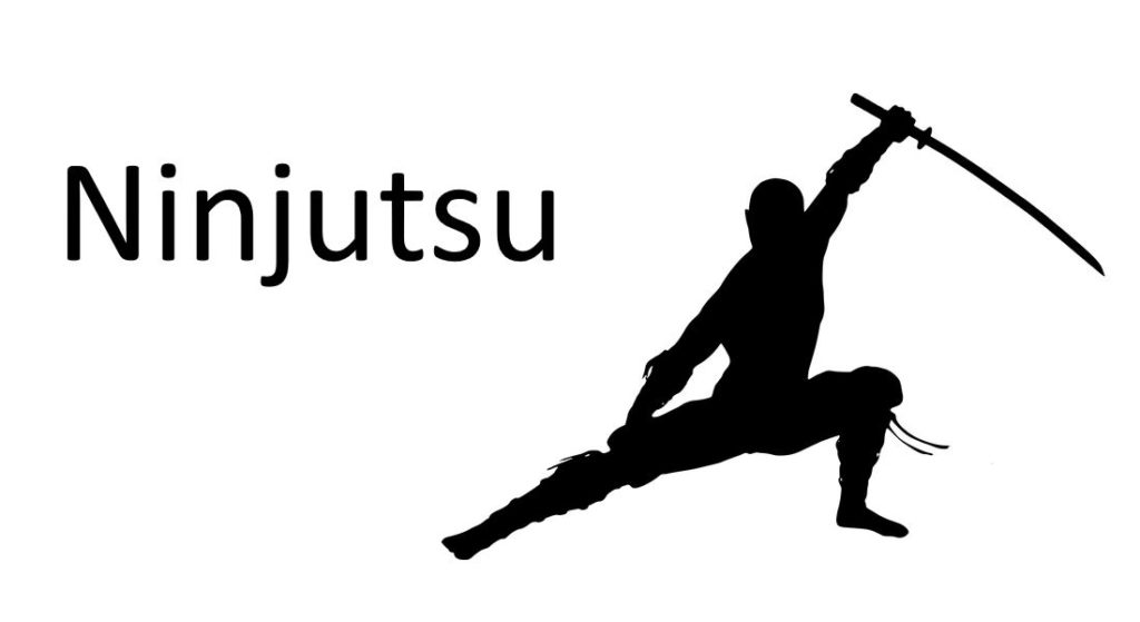 Ninjutsu