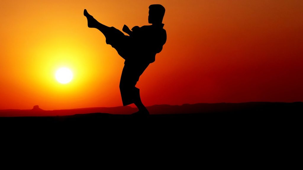 Ninjutsu lernen: So werdet ihr zum Profi